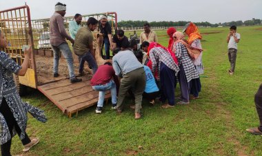नवा रायपुर पौता चेरिया मे घायल ऊंट की मदद  कर अस्पताल भेजा गया।